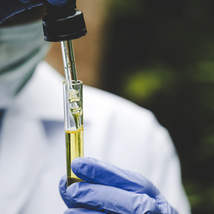 Cannabis Tissue Analysis Services